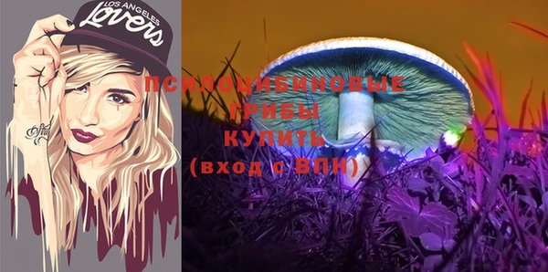 PSILOCYBIN Армянск