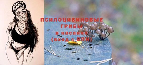 дживик Арсеньев