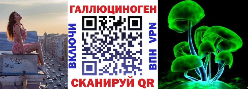 OMG tor  Новоржев  Псилоцибиновые грибы прущие грибы 
